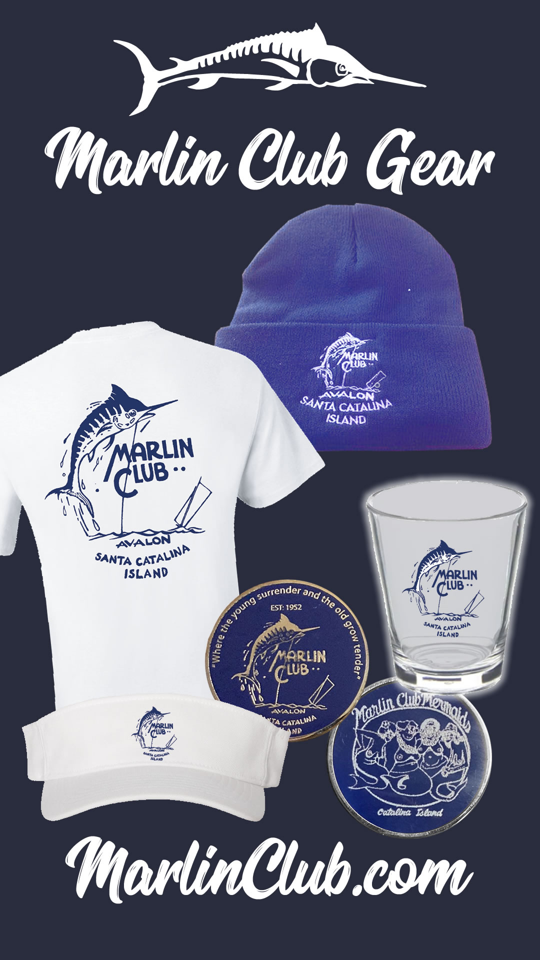 shop-website.jpg